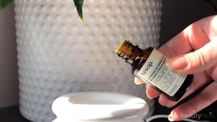 Rekomendasi 3 Tea Tree Oil Ini Cocok Banget Buat Hilangkan Jerawat Kamu! Rekomendasi 3 Tea Tree Oil Ini Cocok Banget Buat Hilangkan Jerawat Kamu!