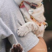 Waspadai 5 Hal Ini Jika Kucing Peliharaan Mengeong Terus-menerus!