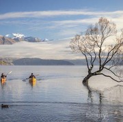 Berpetualang di New Zealand dengan Cara Asyik Ini, Yuk!