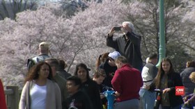 VIDEO: Pandemi Corona, Warga AS Tetap Datangi Taman Sakura