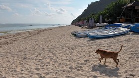 Melihat Larangan Privatisasi Pantai Usai Warga Bali Diusir