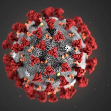 Kenali Virus Corona yang Kini Bermutasi Jadi 3 Tipe