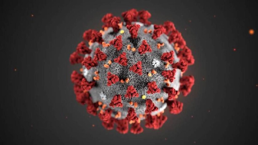 Virus Corona ternyata sudah bermutasi menjadi tiga tipe, simak selengkapnya berikut ini.