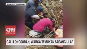 VIDEO: Gali Longsoran, Warga Temukan Ular