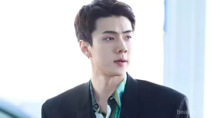 Potret Tampannya Sehun EXO di Bandara Incheon Menuju Paris