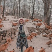 5 Tempat Terbaik untuk Bertemu Hewan Liar Ketika Jalan-Jalan ke Jepang