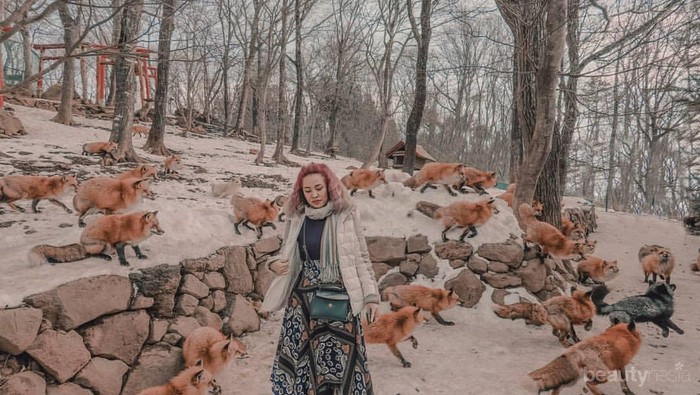 5 Tempat Terbaik untuk Bertemu Hewan Liar Ketika Jalan-Jalan ke Jepang