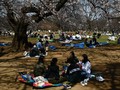 Wabah Corona Membayang Tokyo dan Jepang yang Enggan Lockdown