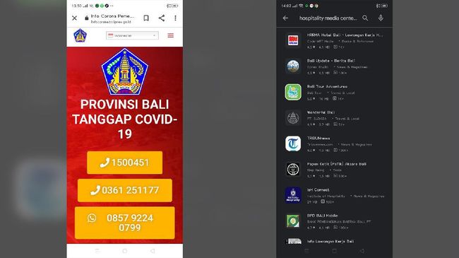 Mengulik Situs Informasi Corona ala Pemprov Bali dan Sulsel