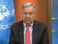 VIDEO: Hadapi Corona, PBB Serukan Gencatan Senjata Global