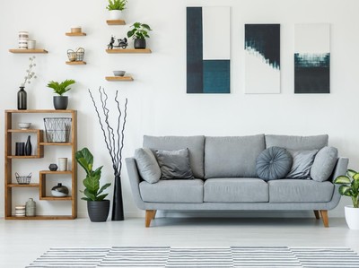 21+ Tanaman Hias Dalam Rumah Minimalis PNG