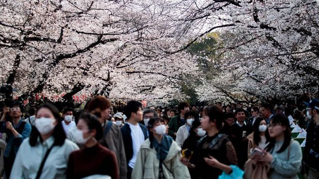 Dicap Destinasi Mahal, Kenapa Jepang Selalu Jadi Magnet Wisatawan?