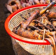 Hiii Makanan Ekstrim Ini Menjijikan Tapi Dipercaya Ampuh Menyembuhkan Penyakit