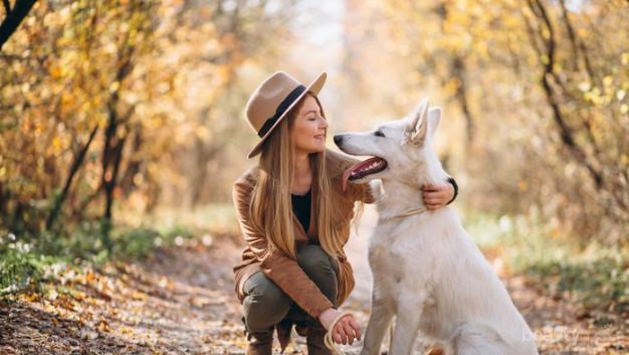 Memelihara Anjing dapat Membuat Panjang Umur? Ternyata Ini Alasannya!
