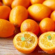 Kumquat: Si Kecil yang Bisa Jaga Kesehatan dan Kecantikanmu secara Sekaligus!