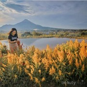 Cantiknya Taman Bunga di Pandaan Pasuruan, Pas Buat Liburan Akhir Tahun!