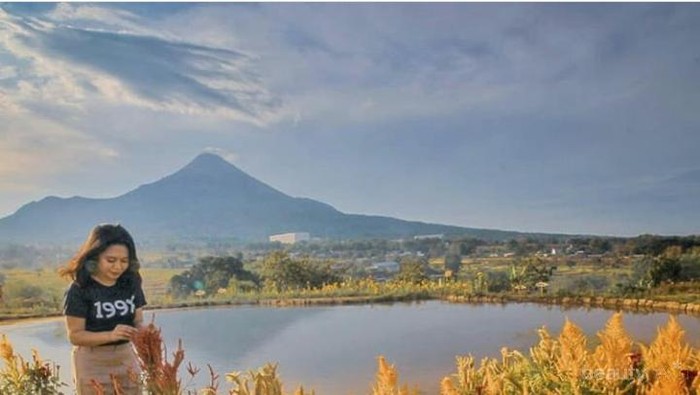 Cantiknya Taman Bunga di Pandaan Pasuruan, Pas Buat Liburan Akhir Tahun!