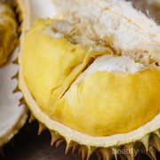 Gak Cuma Lezat, Ini Manfaat Buah Durian yang Gak Disangka-sangka!