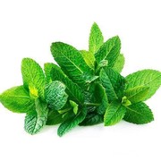 Selain Beri Sensasi Dingin Menyegarkan, Ini Manfaat Daun Mint bagi Kecantikan