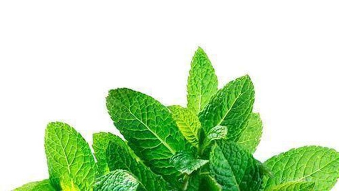 Selain Beri Sensasi Dingin Menyegarkan, Ini Manfaat Daun Mint bagi Kecantikan