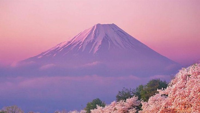 Berlibur ke Negeri Sakura, Jangan Lupa Beli 5 Oleh-Oleh Khas Ini!