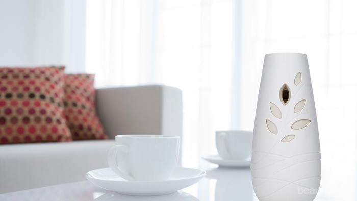 Biar Suasana Rumah Lebih Nyaman, Ini Tips Pilih Pengharum Ruangan