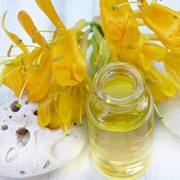 Ketahui Aneka Jenis Minyak Alami dan Manfaatnya untuk Kecantikan