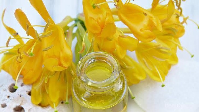 Ketahui Aneka Jenis Minyak Alami dan Manfaatnya untuk Kecantikan
