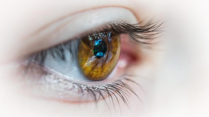 Jangan Asal, Hindari Kesalahan Ini Saat Pakai Softlens Jangan Asal, Hindari Kesalahan Ini Saat Pakai Softlens