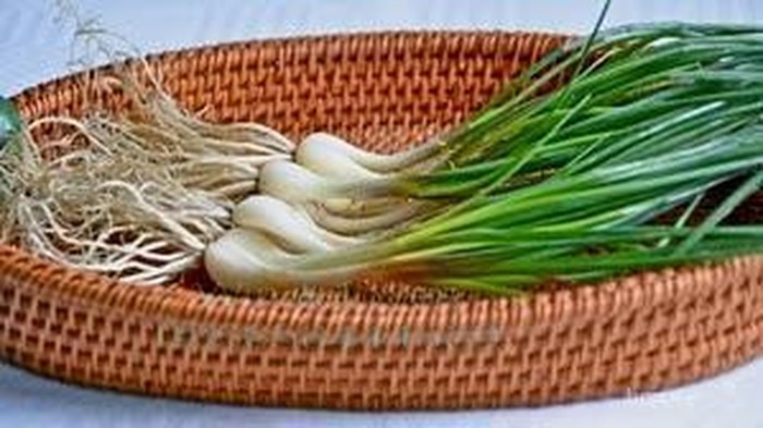 Selain Baik untuk Tulang, Kenali Manfaat Lokio untuk Kesehatan Lainnya