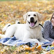 Benarkah Memelihara Seekor Anjing Dapat Mengurangi Risiko Skizofrenia?
