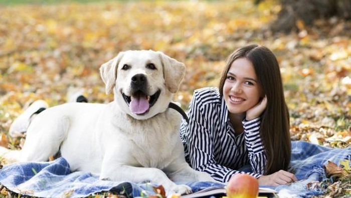 Benarkah Memelihara Seekor Anjing Dapat Mengurangi Risiko Skizofrenia?