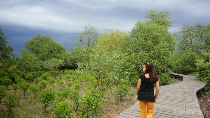 8 Tempat Wisata Gratis di Surabaya Buat Kamu yang Mau Liburan 'Low Budget'