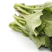 Sudah Tahu Manfaat Sayur Sawi Hijau untuk Kesehatan? Yuk, Cek di Sini!