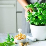 Dikenal sebagai Lalapan, Ini Manfaat Lain Daun Kemangi yang Perlu Kamu Tahu!