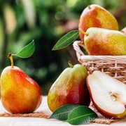 Wajib Tahu, Ini Manfaat Buah Pir untuk Kesehatan dan Kecantikan