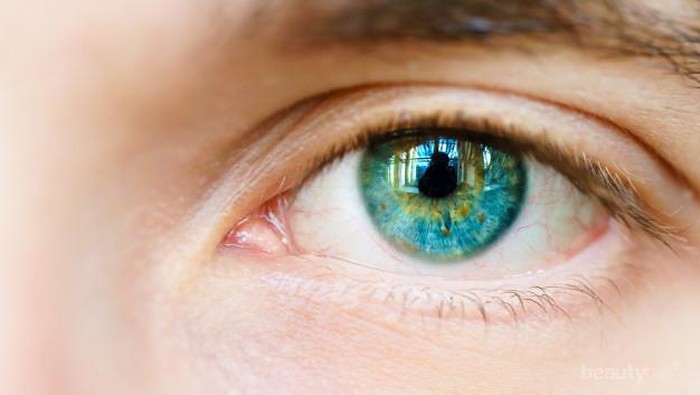 Agar Penglihatan Makin Tajam, Coba Tips Ini, Yuk!