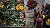 FOTO: Perjuangan Afrika Melawan Penyebaran Virus Corona Negara-negara di Benua Afrika tak luput dari 'target' penyebaran pandemi virus corona, sekitar 30 dari 54 negara di sana telah terinfeksi.