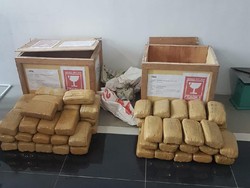 BNN Jabar Bekuk Seorang Kurir Narkoba di Cianjur, 60 Kg Ganja Disita