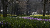 FOTO: Pemandangan Jutaan Bunga Tanpa Turis di Keukenhof Tak ada turis di Taman Keukenhof tahun ini, karena pemerintah Belanda menerapkan pembatasan perjalanan hingga 1 Juni 2020.