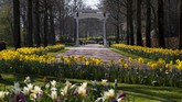 FOTO: Pemandangan Jutaan Bunga Tanpa Turis di Keukenhof Tak ada turis di Taman Keukenhof tahun ini, karena pemerintah Belanda menerapkan pembatasan perjalanan hingga 1 Juni 2020.