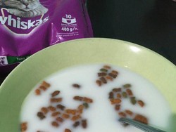 Cicipi Makanan Kucing, Netizen Ini Viral di Media Sosial