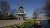 FOTO: Pemandangan Jutaan Bunga Tanpa Turis di Keukenhof Tak ada turis di Taman Keukenhof tahun ini, karena pemerintah Belanda menerapkan pembatasan perjalanan hingga 1 Juni 2020.