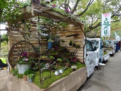 Adu Cantik Kontes Taman di Bak Mobil Pikap