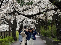 Mau Menetap di Jepang? Ini Cara Dapatkan Visa Tinggal Permanen