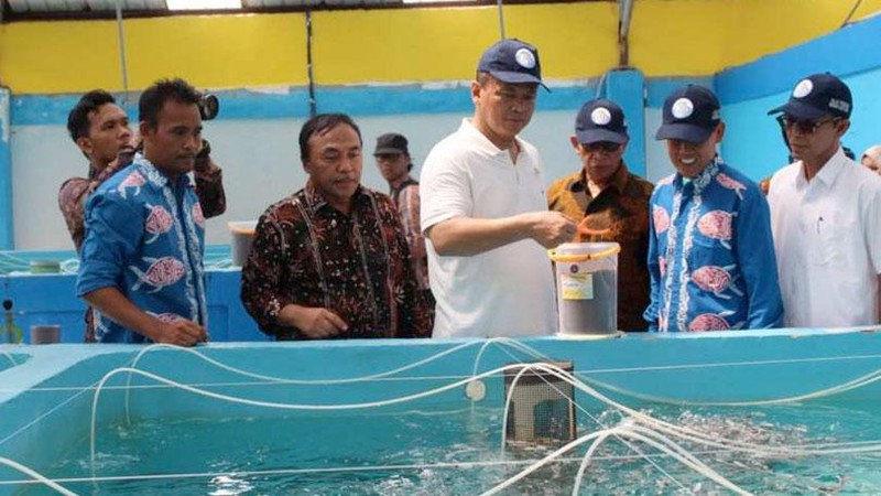 KKP dan Pemerintah Provinsi (Pemprov) Riau sepakat menjadikan Kabupaten Meranti sebagai sentra pengembangan budidaya kakap putih nasional.