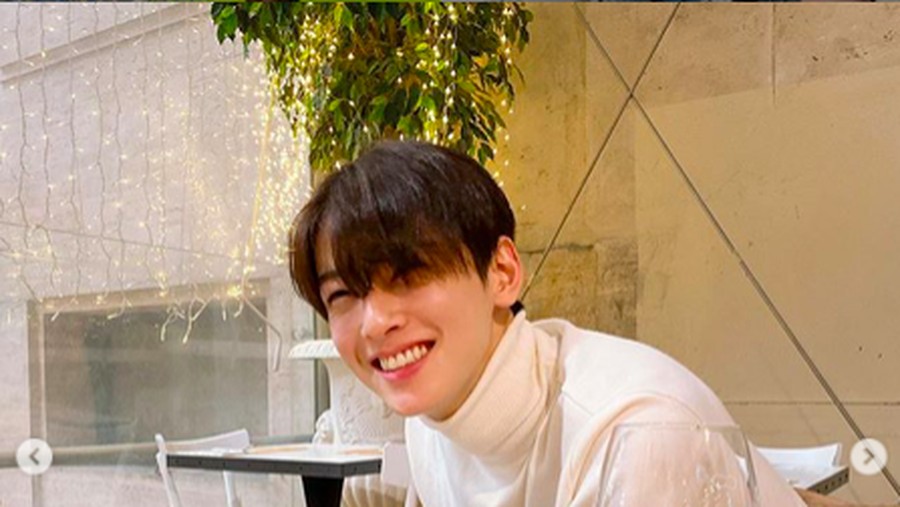Cha Eun Woo