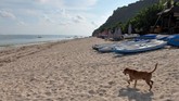 FOTO: Bali Tanggap Darurat Corona Gubernur Bali telah memutuskan memberlakukan tanggap darurat corona imbas dari peningkatan pasien dalam pengawasan yang tinggi.