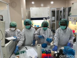 RI Perlu Pertimbangkan Pinjaman IMF Demi Lawan Corona?
