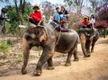 Thailand Sepi Turis, Kawanan Gajah Dikurung & Dibiarkan Lapar